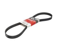 Gates Courroie trapézoïdale à nervures 6PK1125 Poly-V noir