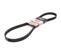 Courroie trapézoïdale à nervures GATES 6PK1175