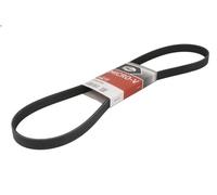 Courroie trapézoïdale à nervures GATES 6PK1203 pour CTS 3.6 2005-2007