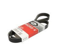 Courroie trapézoïdale à nervures GATES 6PK1230