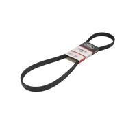 Courroie trapézoïdale à nervures GATES 6PK1245