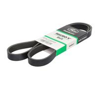 Gates Courroie Poly-V 6PK1298ES