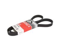 Courroie trapézoïdale à nervures GATES 6PK1368