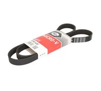 Courroie trapézoïdale à nervures GATES 6PK1400