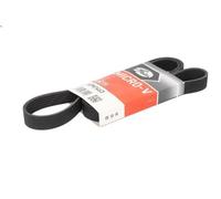 Courroie trapézoïdale à nervures GATES 6PK1463 pour MG ZR 2 2001-2005