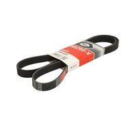 Courroie trapézoïdale à nervures GATES 6PK1555