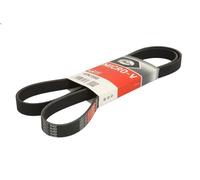Courroie trapézoïdale à nervures GATES 6PK1555 pour BMW 5 (E34) 2 1990-1995