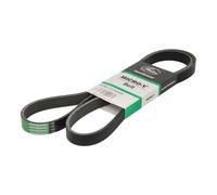 Courroie trapézoïdale à nervures GATES 6PK1570HD