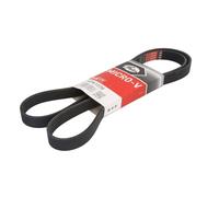 Courroie trapézoïdale à nervures GATES 6PK1578