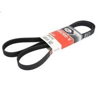 Courroie trapézoïdale à nervures GATES 6PK174 pour F-350 7.5 1991-1996