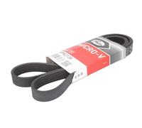 Courroie trapézoïdale à nervures GATES 6PK2128