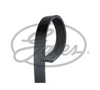 Courroie trapézoïdale à nervures GATES 6PK2430HD
