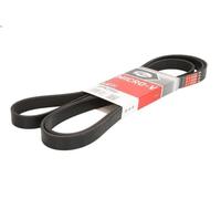 Courroie trapézoïdale à nervures GATES 6PK2500 pour AUDI A5 (8T3) 3 2007-2012