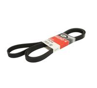 Courroie trapézoïdale à nervures GATES 6PK2585