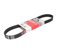 Courroie trapézoïdale à nervures GATES 6PK843
