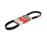 Courroie trapézoïdale à nervures GATES 6PK900