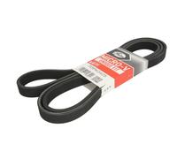 Courroie trapézoïdale à nervures GATES 7DPK2425