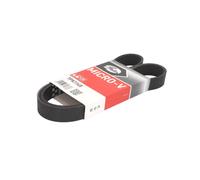 Courroie trapézoïdale à nervures GATES 7PK1148