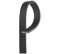 Courroie trapézoïdale à nervures Gates 8DPK1445 LAND ROVER 9H23-8620-CA LR011327