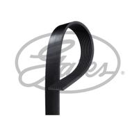 Courroie trapézoïdale à nervures GATES 8PK1438HD