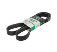 Courroie trapézoïdale à nervures GATES 8PK1560HD