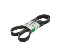 Courroie trapézoïdale à nervures GATES 8PK1648HD