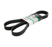 Courroie trapézoïdale à nervures GATES 8PK1765AHD