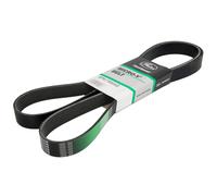 Courroie trapézoïdale à nervures GATES 8PK1900HD