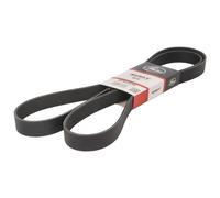 Courroie trapézoïdale à nervures GATES 8PK2035