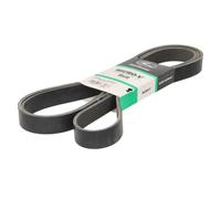 Courroie trapézoïdale à nervures GATES 8PK2575HD