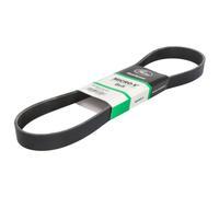 Courroie trapézoïdale à nervures GATES 8PK975HD