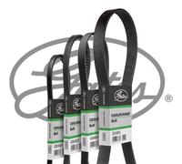 Courroie trapézoïdale à nervures GATES CB0002