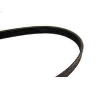 Courroie trapézoïdale à nervures pour BOSCH 1 987 946 080 146 (930_) 2 1997-