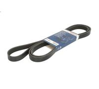 Courroie trapézoïdale à nervures pour BOSCH 1 987 947 566 pour SL 5 1992-