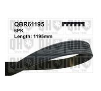Courroie trapézoïdale à nervures QUINTON HAZELL QBR61195