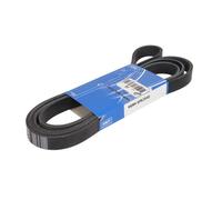 SKF VKMV 6PK2545 Courroie Poly-V