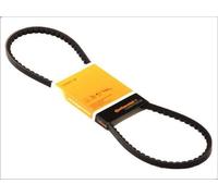 Courroie trapézoïdale CONTITECH AVX10X666 pour CITROEN CX II 2.5 1985-1992