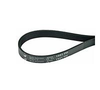 courroie Trapézoïdale de Transmission Sèche-linge Striée 1951PH7 1951H7 150612403