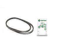 Courroie trapézoïdale FB 10X666 INA pour VW RENAULT CITROËN PEUGEOT ISUZU DAEWOO