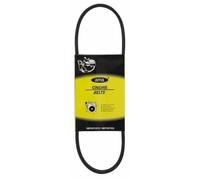 Courroie trapézoïdale lisse Z30 3/4 - 10X781 MM