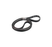 Courroie Trapézoïdale Machine à Laver 1236J4EL Bauknecht Whirlpool 481235818206