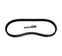 Courroie trapézoïdale Malossi X-Special Belt (dimension 18,5x8x834 mm - angle 30°)