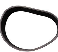 Courroie trapézoïdale nervurée for sèche-linge et lave-linge (1 pièce)(1650mmx5)