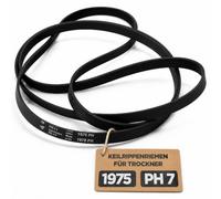 Courroie trapézoïdale pour sèche-linge 1975 PH 7 avec code original 125828810/7 1258288107 00118373 1258288222 00488494 01097773 pour Bosch pour Siemens pour AEG pour Electrolux pour Quelle | Fabriqué