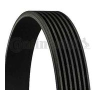 Courroie V Striée CONTINENTAL CTAM 7PK1785 Pour HONDA, RENAULT