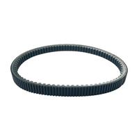 Courroies Trapézoïdales 82941R/1G pour Nexus pour Euro3 pour Oregon 250 300 2006 2007 2008 2009 2010 2011 Courroie Entraînement V