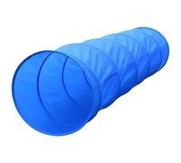 Cours d'agilité pour chien avec tunnel