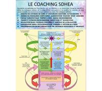 Cours De Coaching Thérapeutique Sdhea - Le Coaching Sdhea