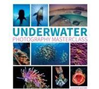 Cours de maître sur la photographie sous-marine