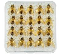 Cours de mouche Kader - 20 -Times Appât avec mouche Bee Simulée | Équipement d' avec étui de rangement pour eau douce et eau salée Deep Sea Lake River Pond